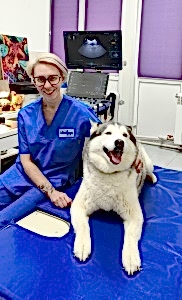 Шехтман Юлия Борисовна