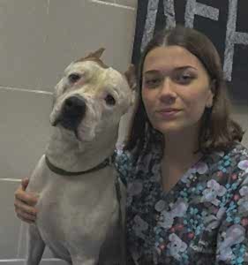 Борисовская Виктория Игоревна