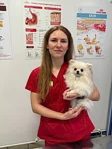 Анкудова Дарья Анатольевна