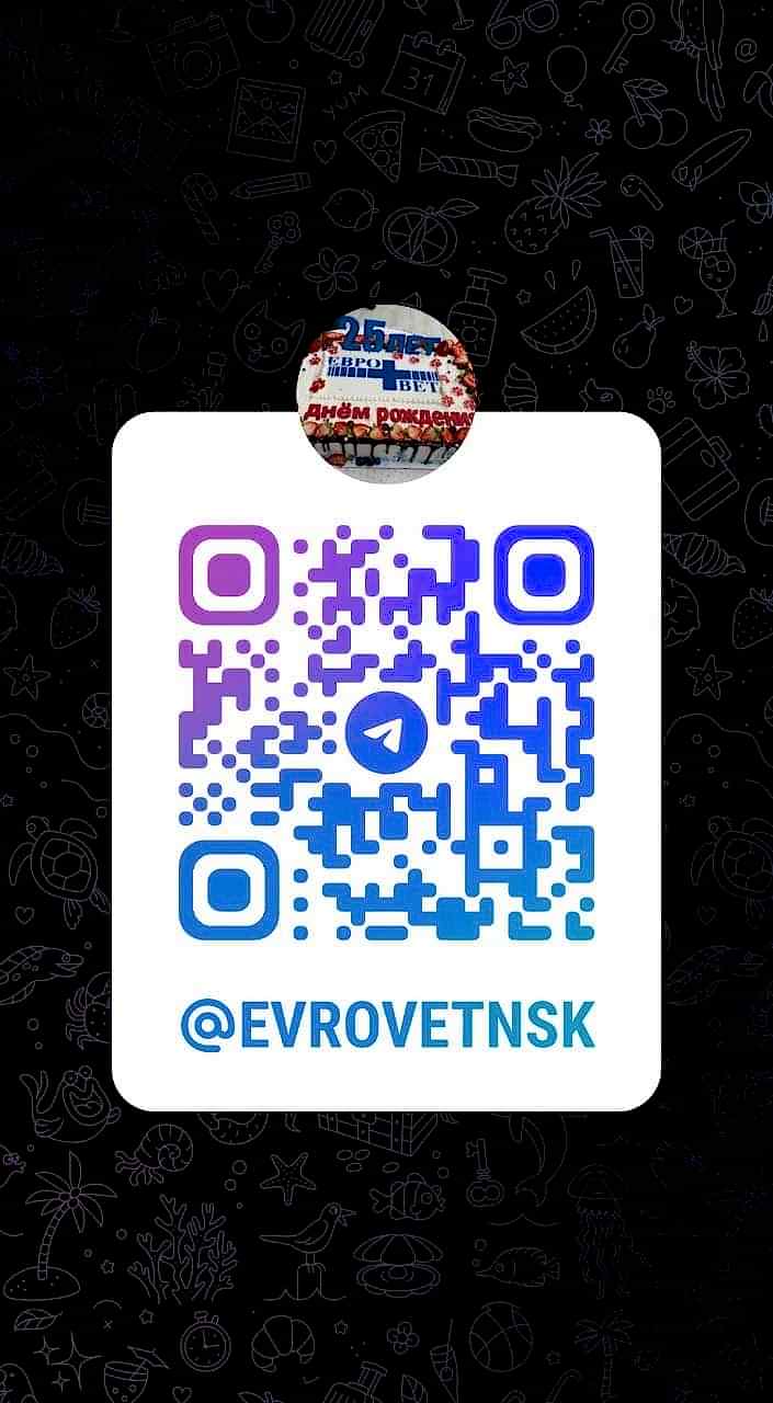 Кошка в клинике