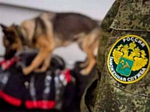 Ветеринарное обслуживание служебных собак Ветеринарное обслуживание служебных собак